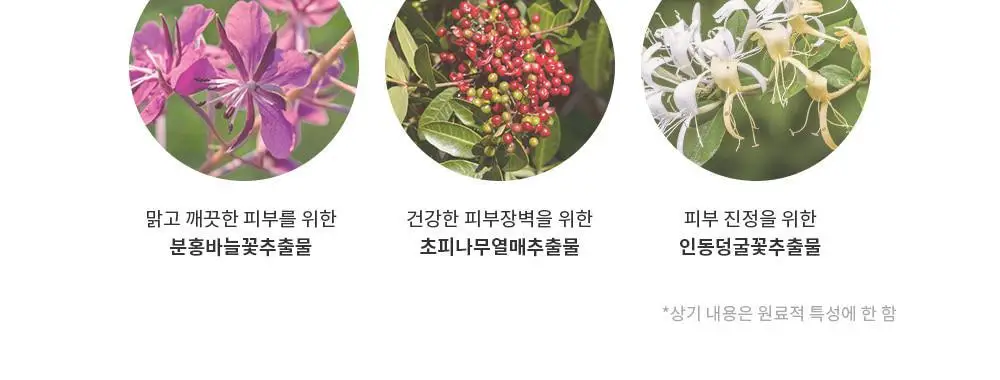 야다 데일리 그린 마스크 선인장 5매 상세페이지 8
