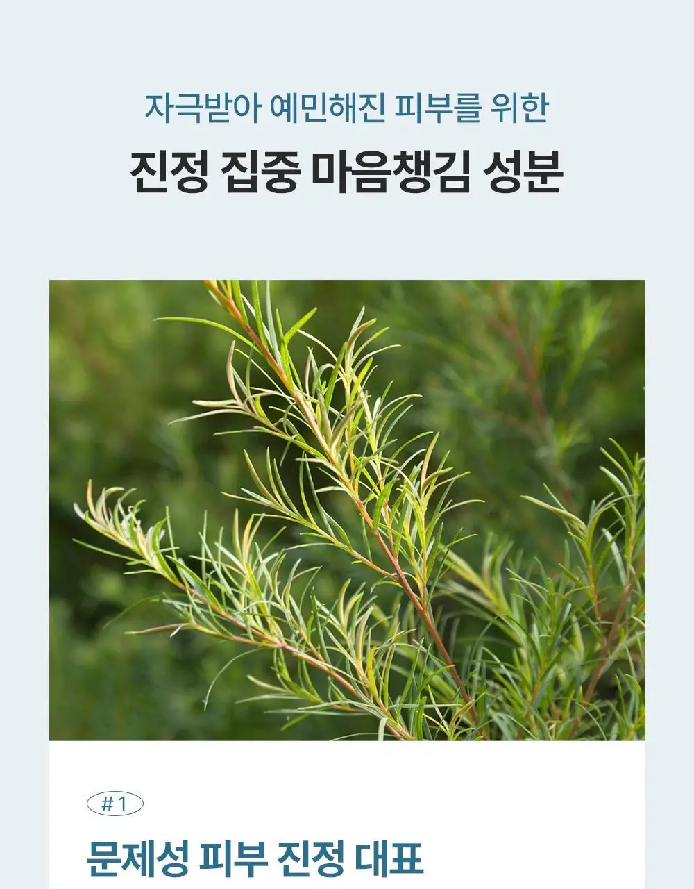 에필로우 결 가드닝 시트 마스크 10매 상세페이지 15