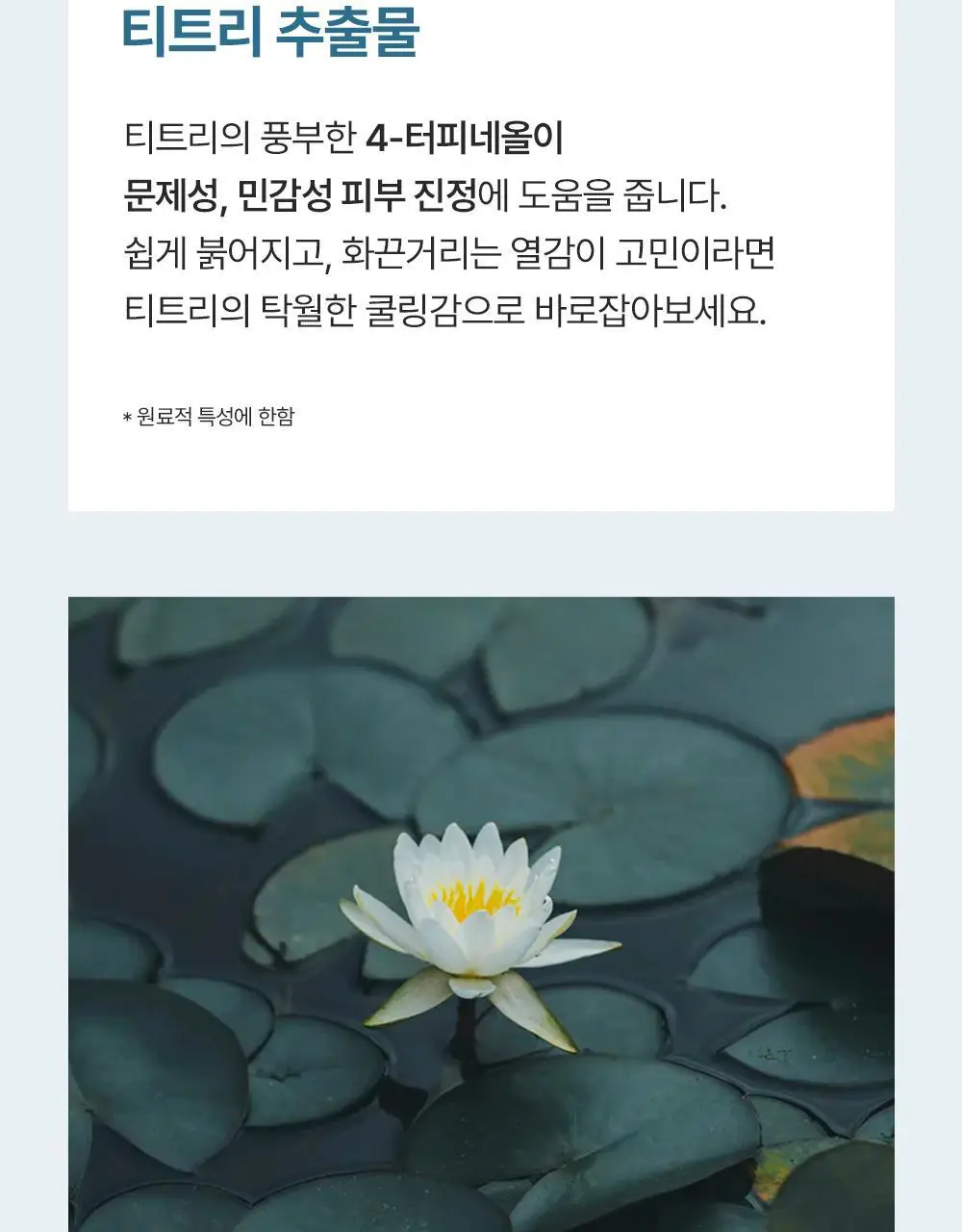 에필로우 결 가드닝 시트 마스크 10매 상세페이지 16