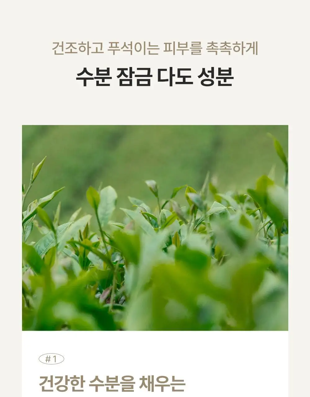 에필로우 결 가드닝 시트 마스크 10매 상세페이지 26