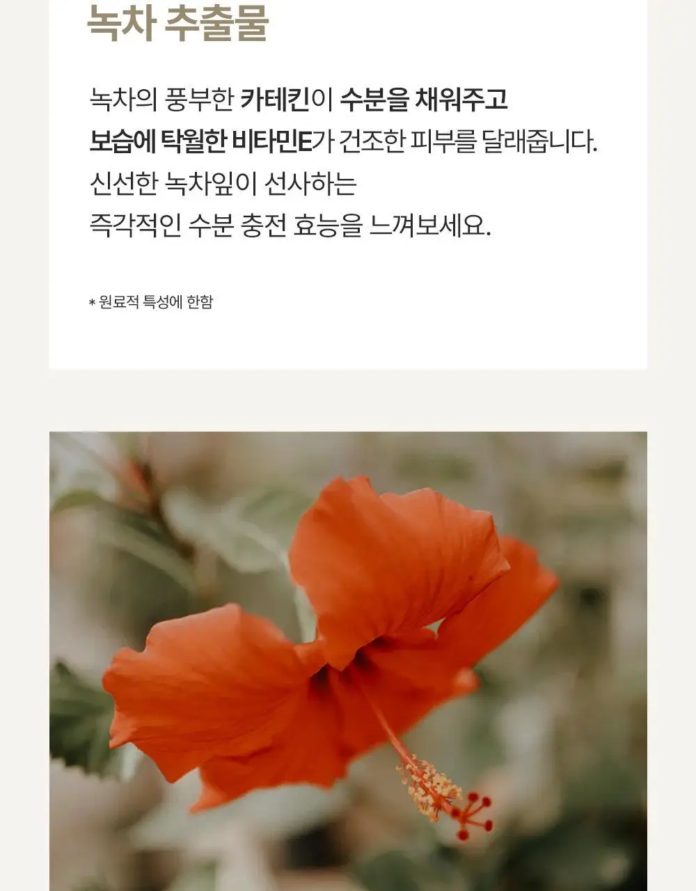 에필로우 결 가드닝 시트 마스크 10매 상세페이지 27