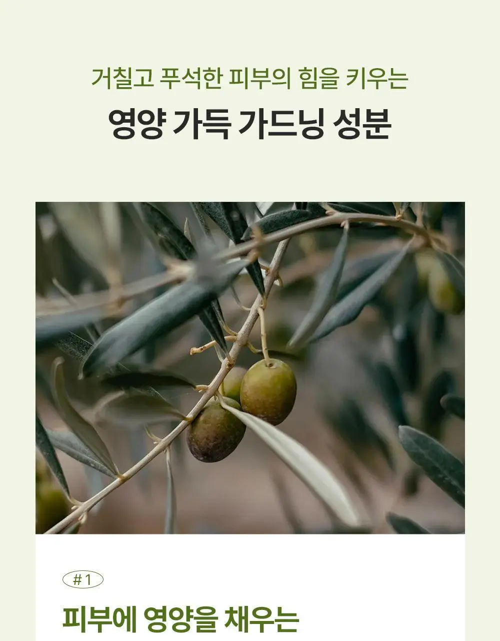에필로우 결 가드닝 시트 마스크 10매 상세페이지 37