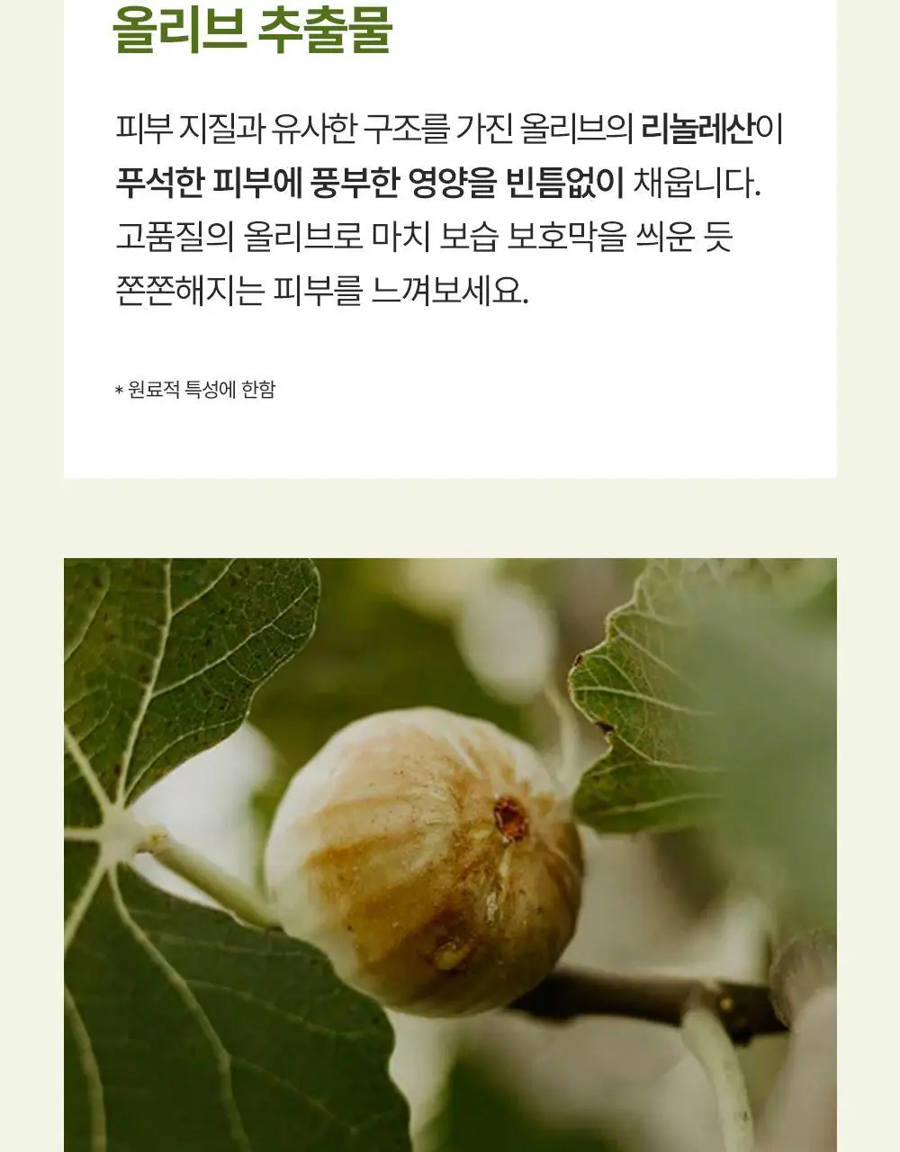 에필로우 결 가드닝 시트 마스크 10매 상세페이지 38