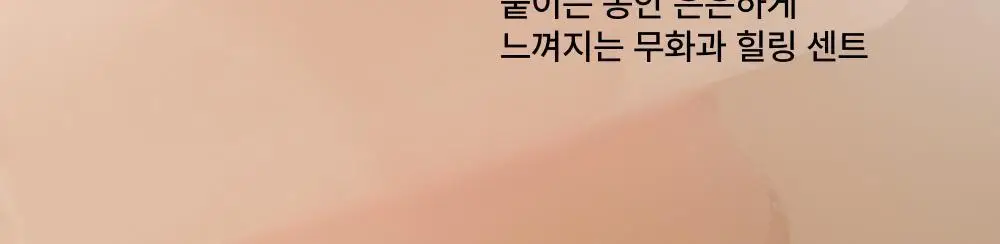 휩드 비건 스퀴즈 마스크 5+1매 기획 2종 택1 (머그트리/무화버터) 상세페이지 10