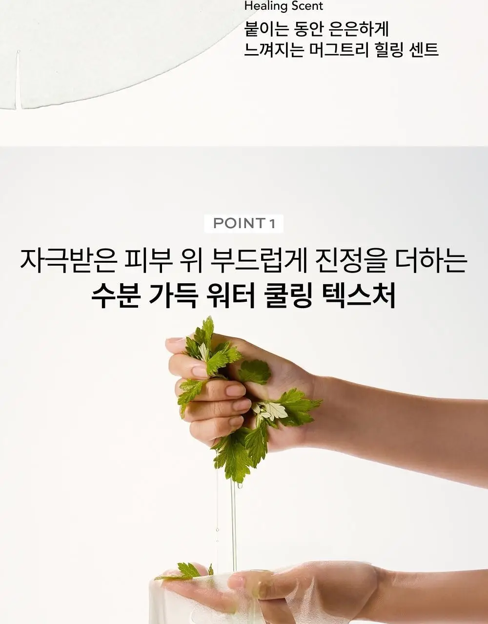 휩드 비건 스퀴즈 마스크 5+1매 기획 2종 택1 (머그트리/무화버터) 상세페이지 22