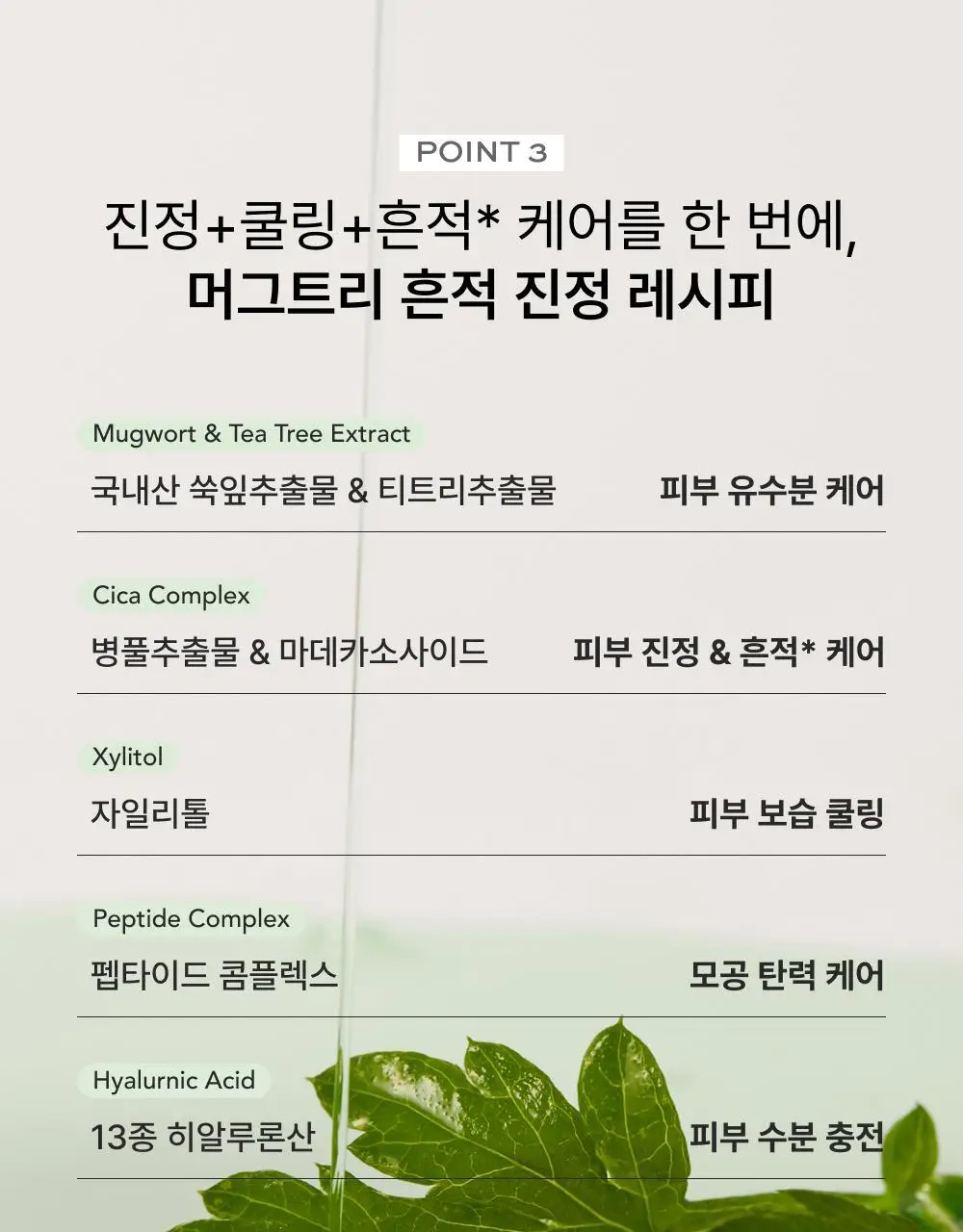 휩드 비건 스퀴즈 마스크 5+1매 기획 2종 택1 (머그트리/무화버터) 상세페이지 26