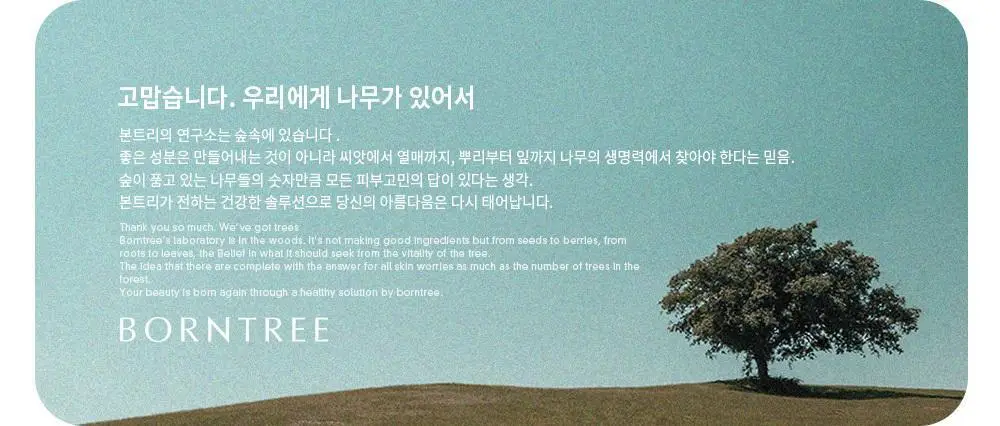 본트리 레몬티트리 블랙헤드 코팩 10매입 상세페이지 3
