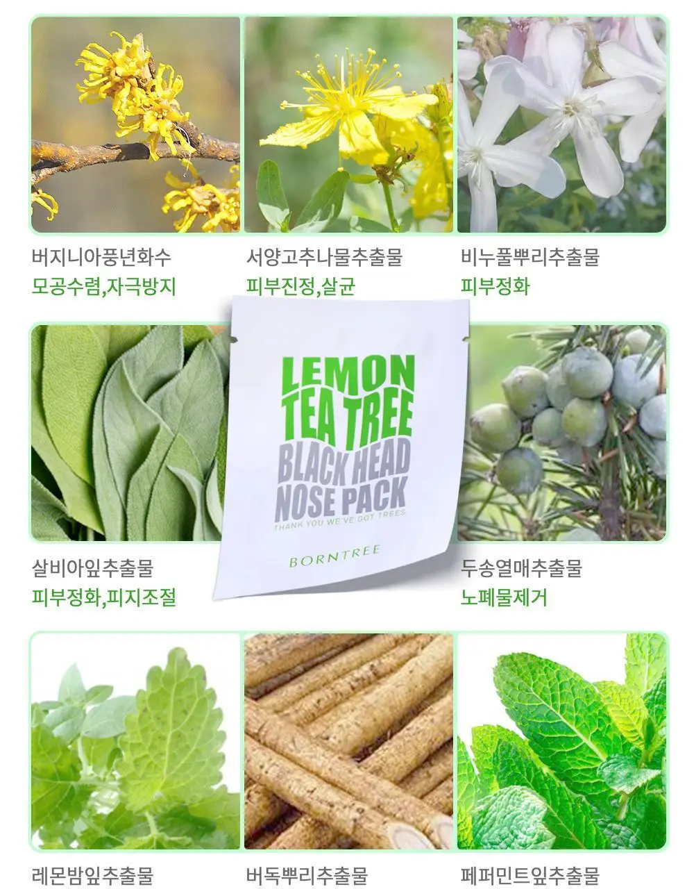 본트리 레몬티트리 블랙헤드 코팩 10매입 상세페이지 15