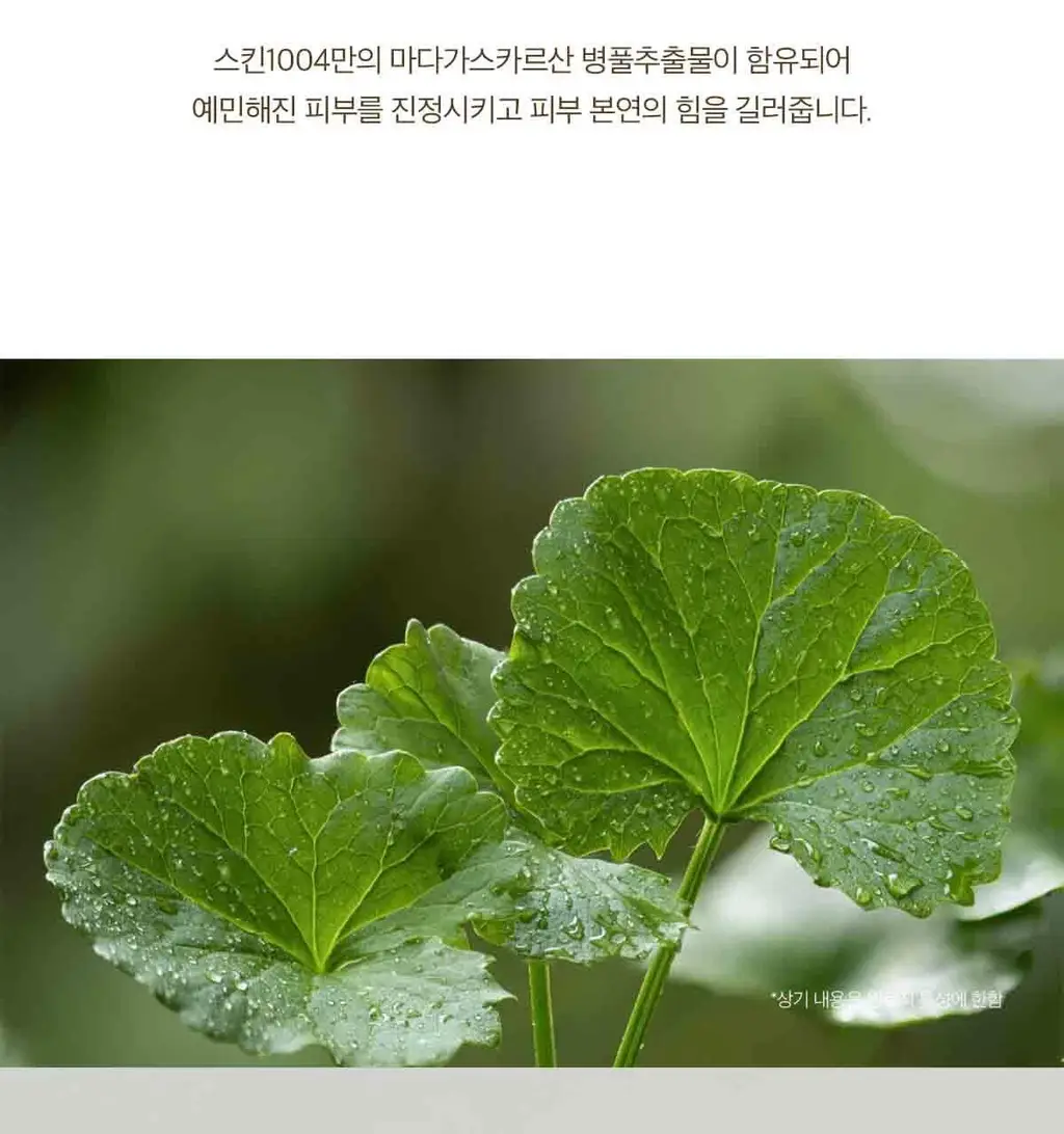 스킨1004 마다가스카르 센텔라 퀵카밍 패드 상세페이지 25