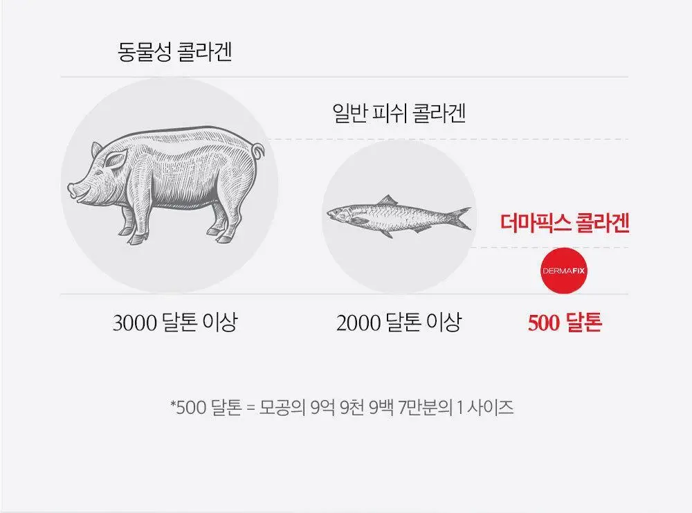 더마픽스 리얼 콜라겐 텐션업 링클패치 상세페이지 12