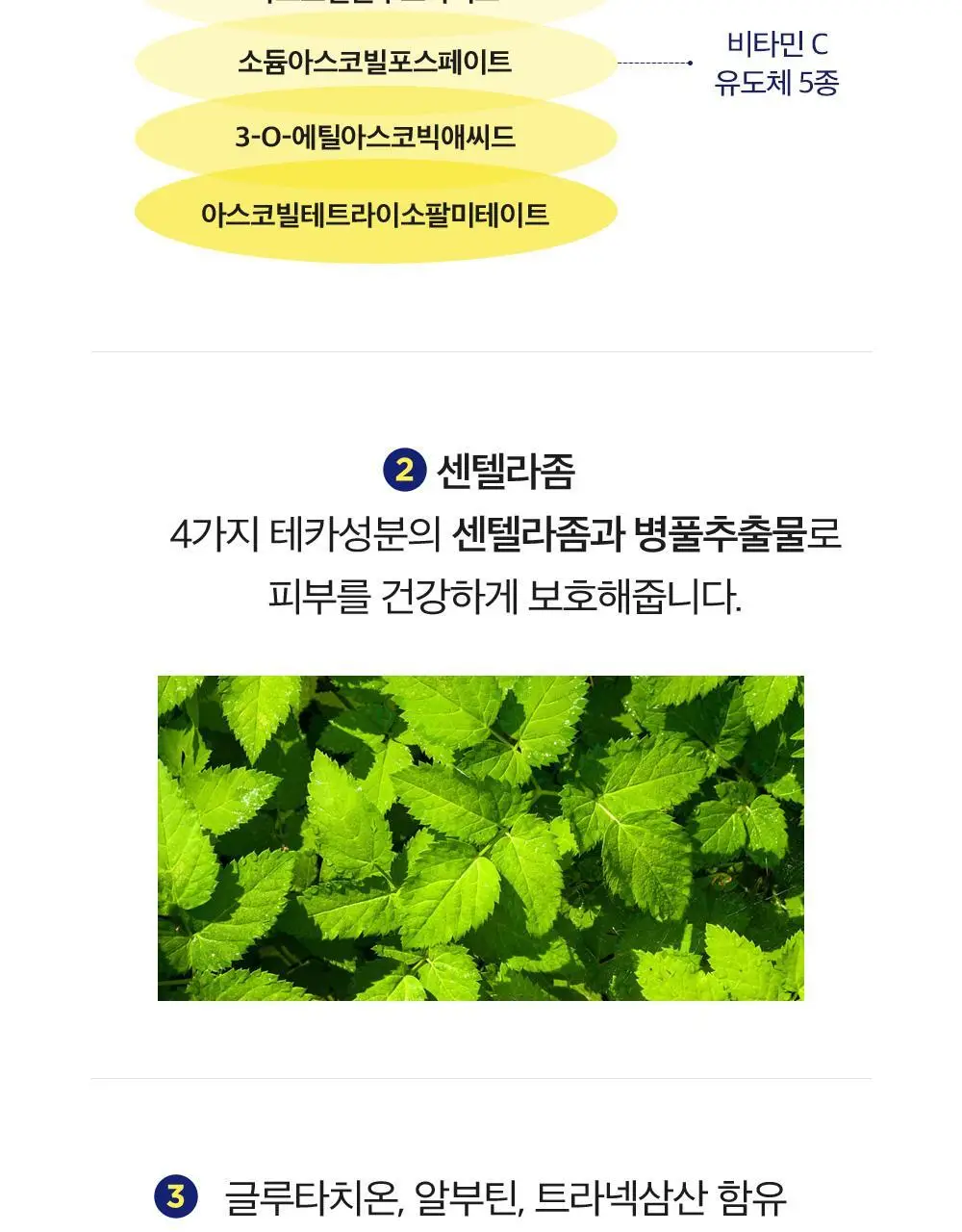 CKD 비타씨테카 트리플 흔적패치 60매 상세페이지 12