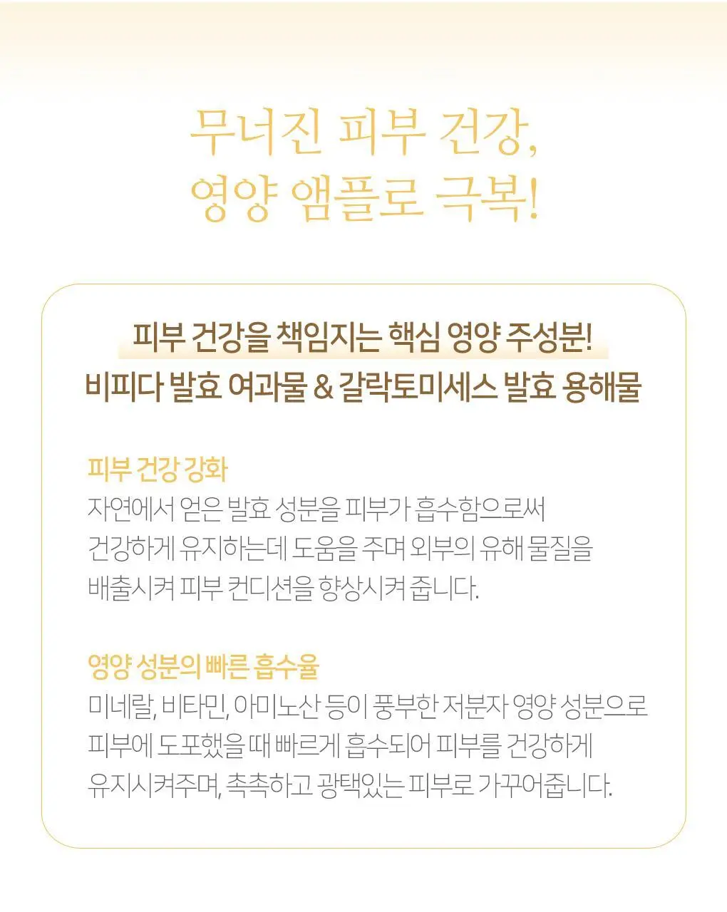 린제이 엄청 큰 영양 멀티 앰플 (500ml) 상세페이지 24