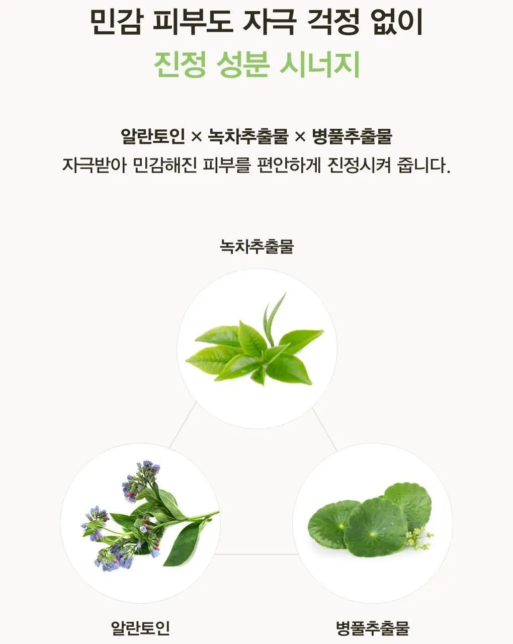 아비브 모델링 크림 마스크 어성초/부활초 스쿱 2종 택1 상세페이지 17