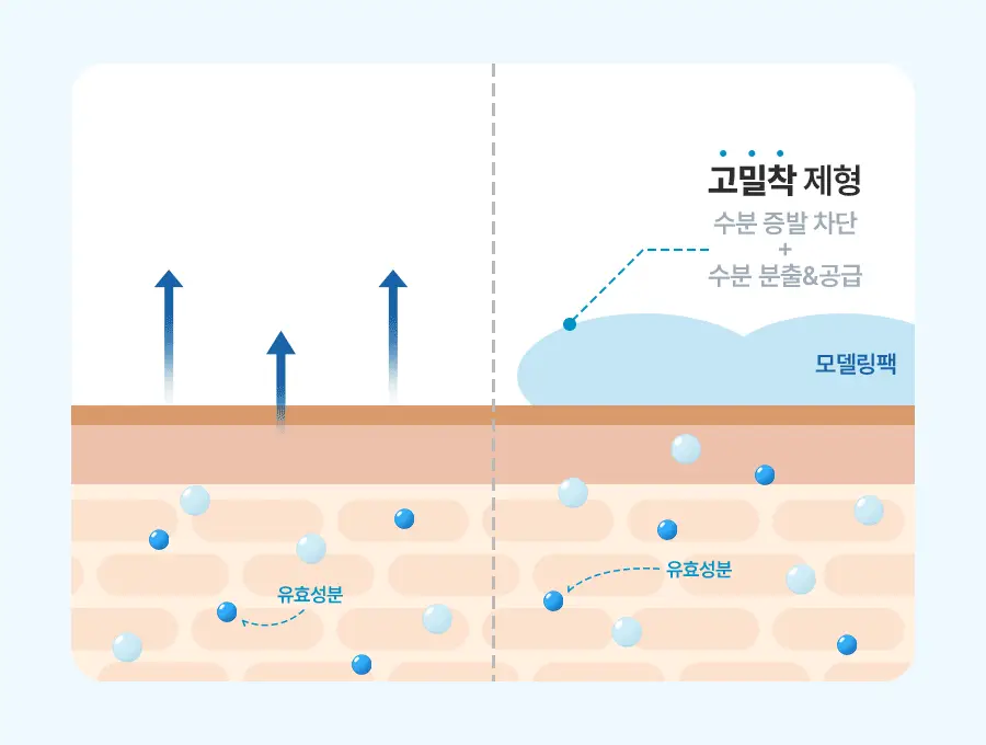 토리든 모델링 팩 5개입 리필 기획 2종(다이브인/밸런스풀) 상세페이지 15