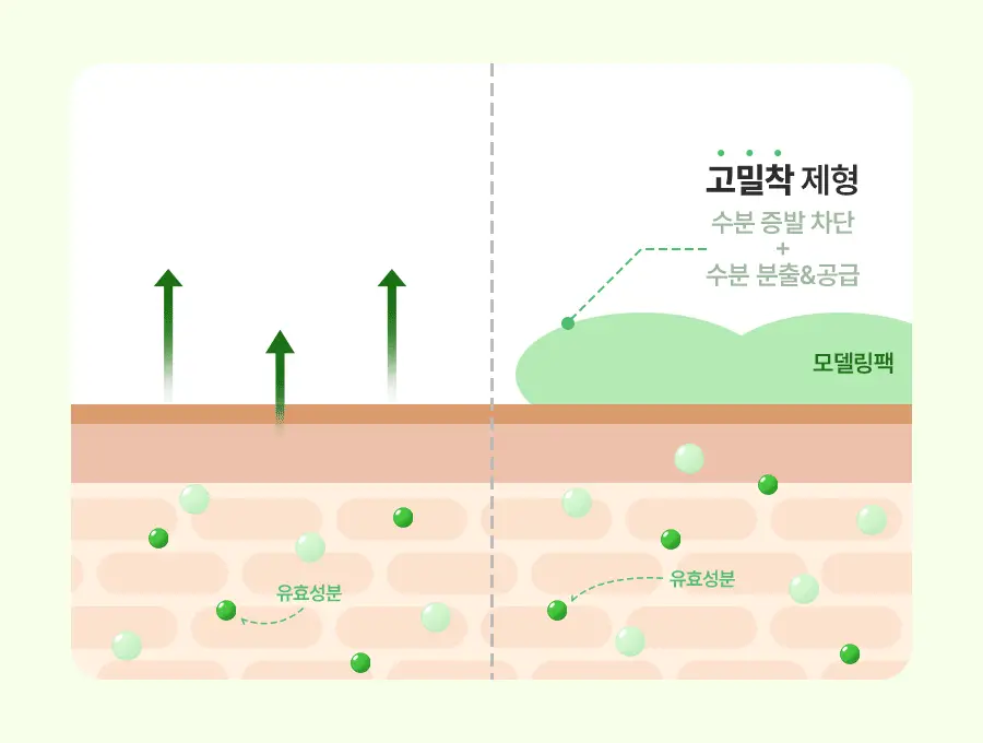 토리든 모델링 팩 5개입 리필 기획 2종(다이브인/밸런스풀) 상세페이지 54