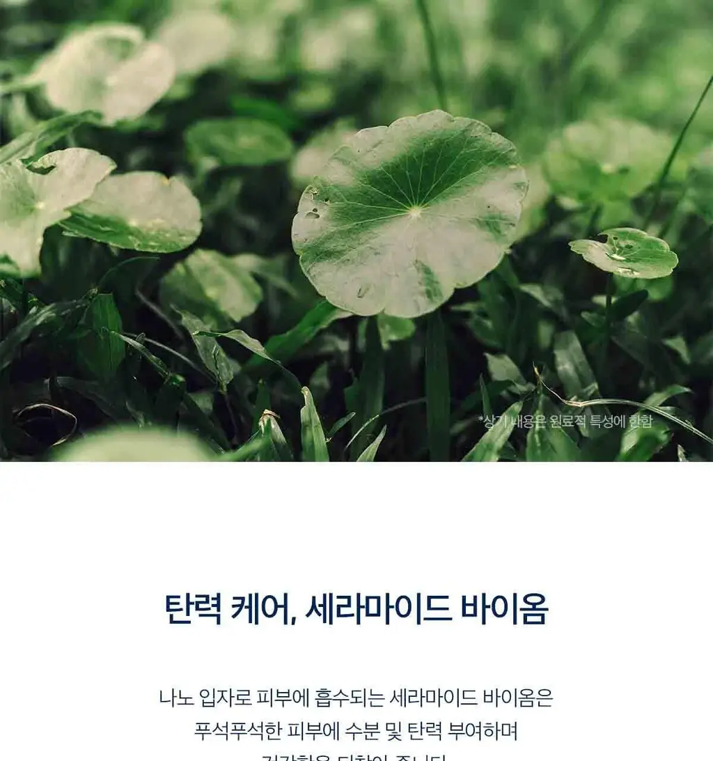 스킨1004 마다가스카르 센텔라 히알루-시카 슬리핑팩 100ml 상세페이지 8