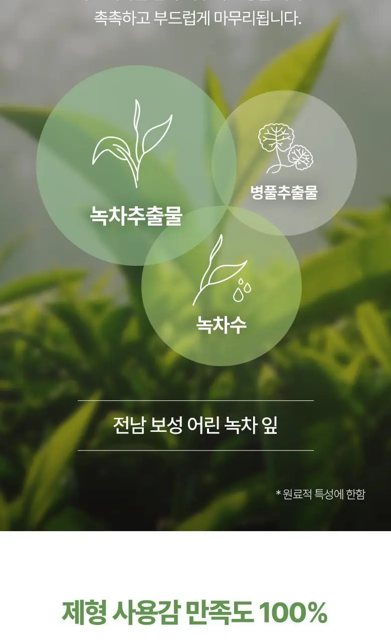식물나라 어린녹차 산뜻모공 클레이팩 100ml 상세페이지 11