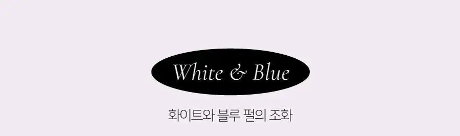 딘토 플럼핑 립 글라세 & 립 애나멜 15종 상세페이지 29
