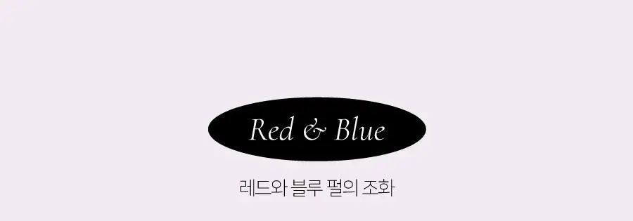 딘토 플럼핑 립 글라세 & 립 애나멜 15종 상세페이지 33