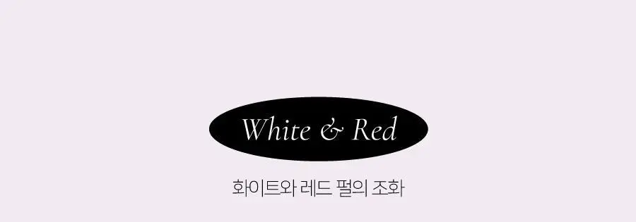 딘토 플럼핑 립 글라세 & 립 애나멜 15종 상세페이지 35