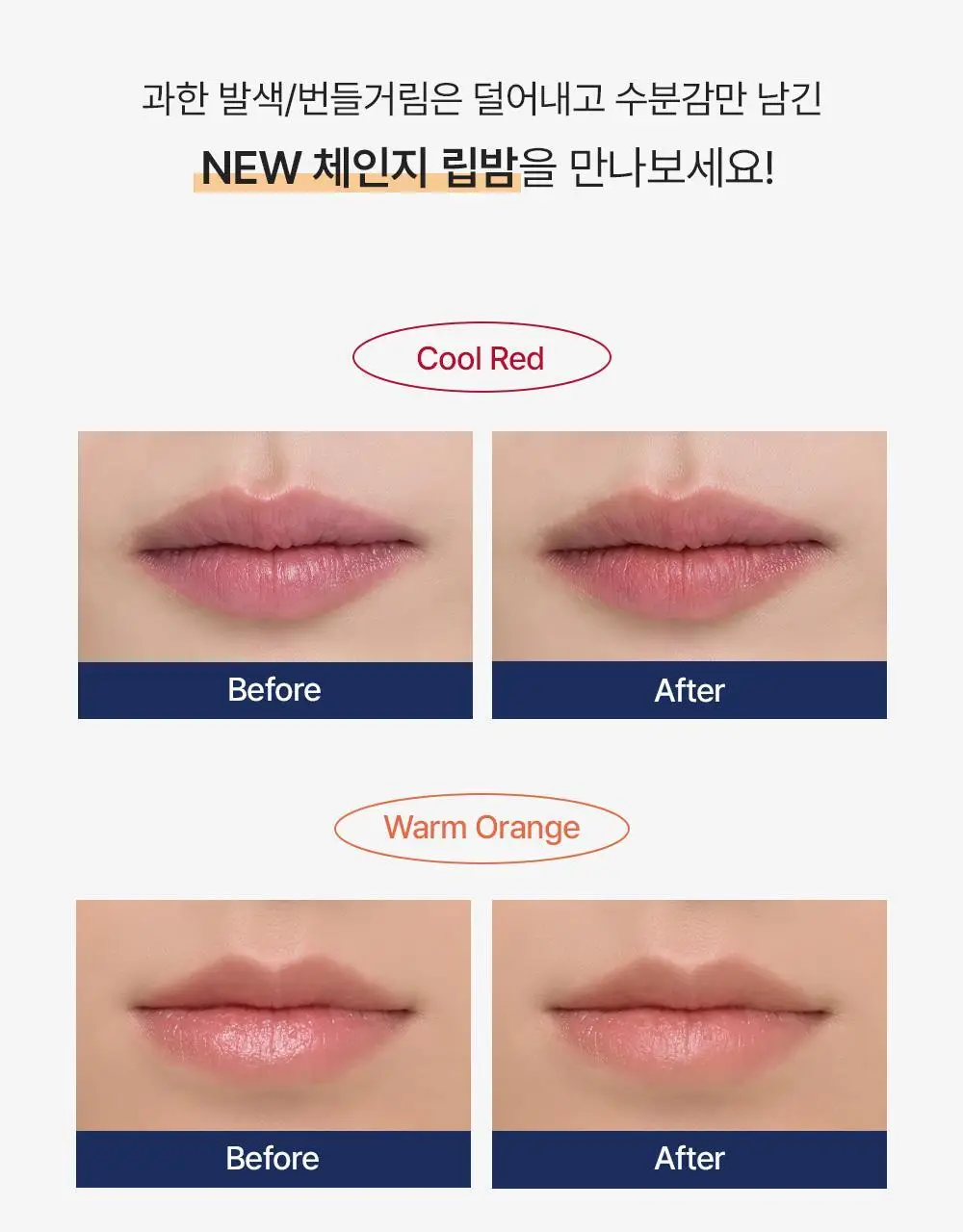 다슈 맨즈 컬러 체인지 립밤 쿨톤/웜톤 4g 상세페이지 2