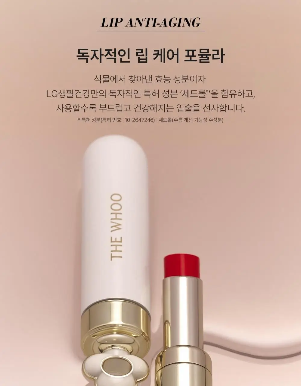 더후 에센셜 립 글로우밤 5 colors 상세페이지 3