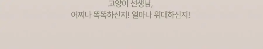 딘토 포포 립마스크 5종 상세페이지 30