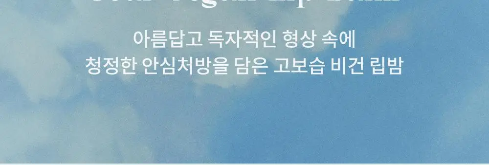 라카 소울 비건 립밤 3.9g 4종 상세페이지 4