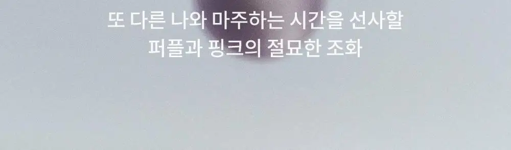 라카 소울 비건 립밤 3.9g 4종 상세페이지 24
