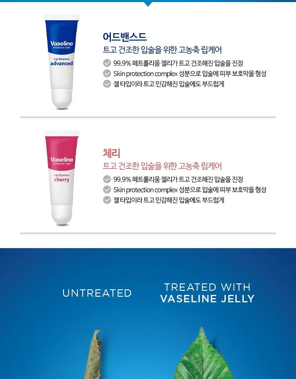 바세린 뉴 립 에센스 10ml 2종 상세페이지 6