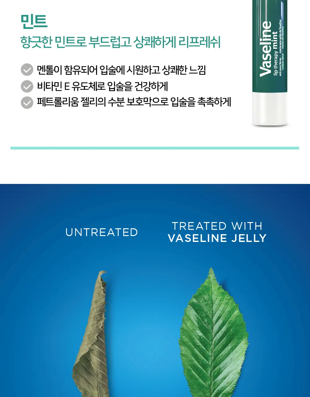 바세린 립테라피 케어 스틱 4.8g 3종 상세페이지 8