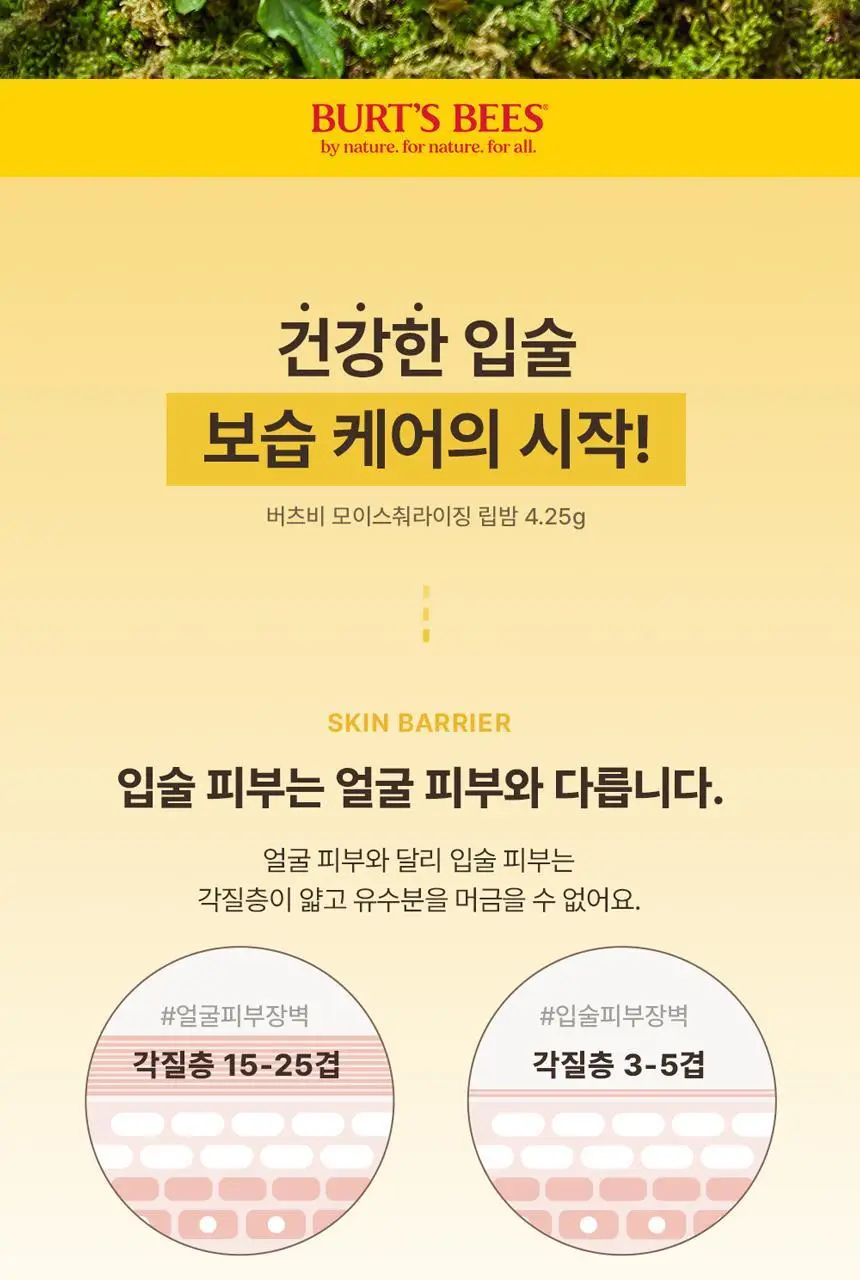 버츠비 스위트만다린 모이스춰라이징 립밤 4.25g 상세페이지 3