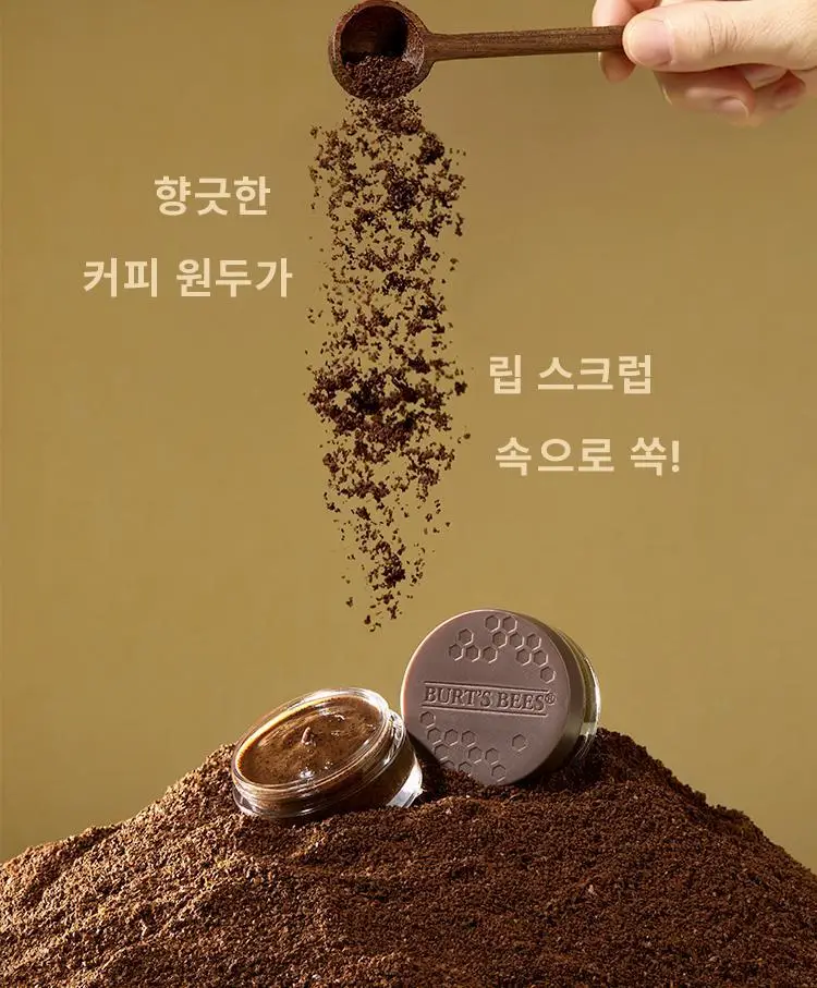 버츠비 컨디셔닝 립 스크럽 7.08g 상세페이지 5