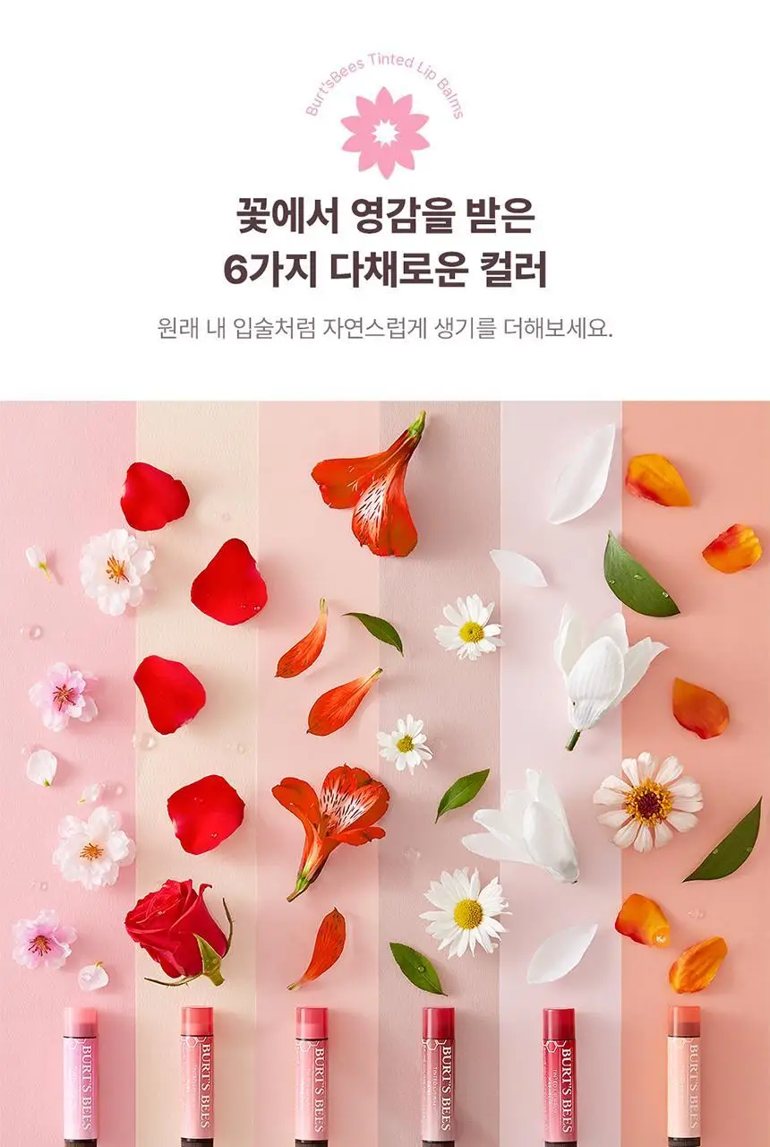 버츠비 틴티드 립밤 매그놀리아 4.25g 상세페이지 6