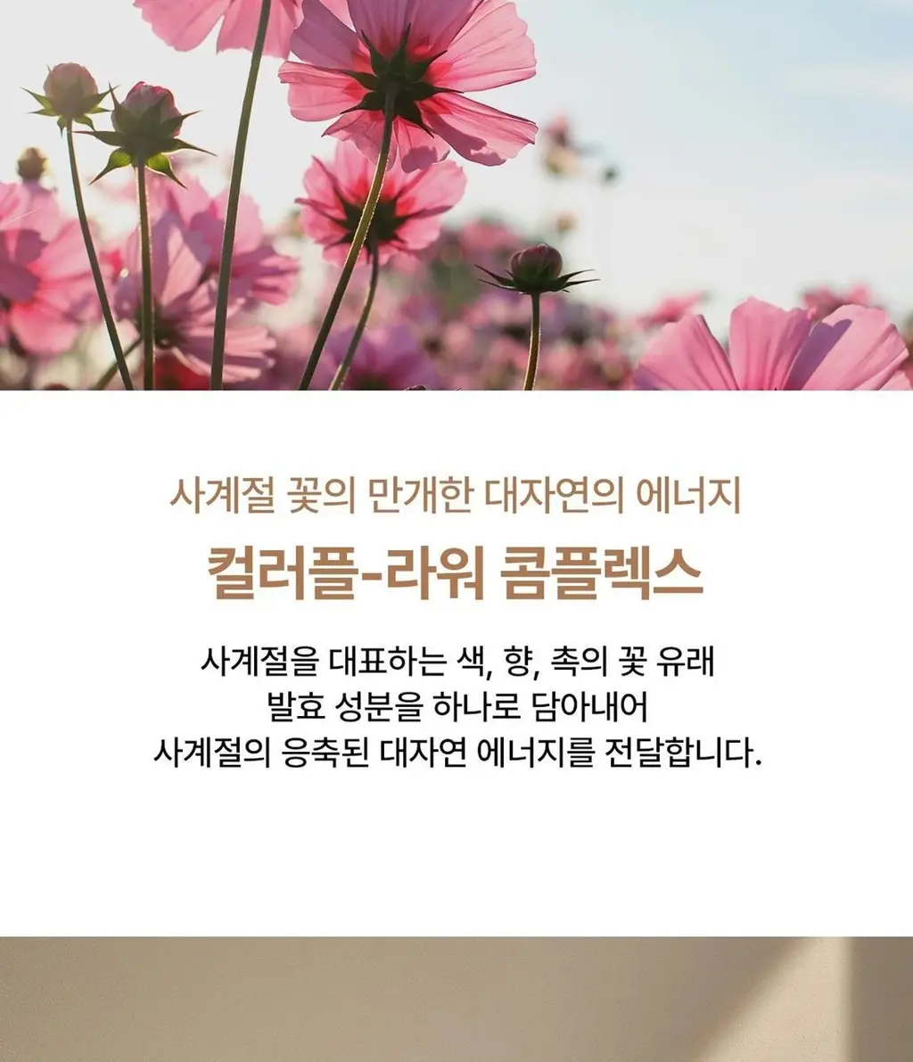 숨37 스킨스테이 글로시 립밤 4.2g 2 COLOR 상세페이지 12