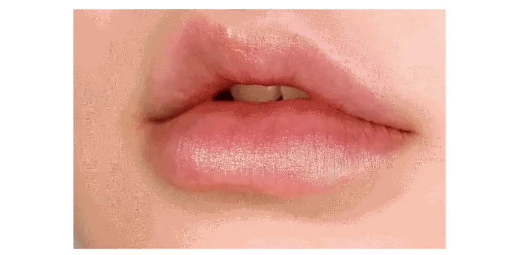 에뛰드 진저슈가 에센셜 립밤 15ml 상세페이지 7