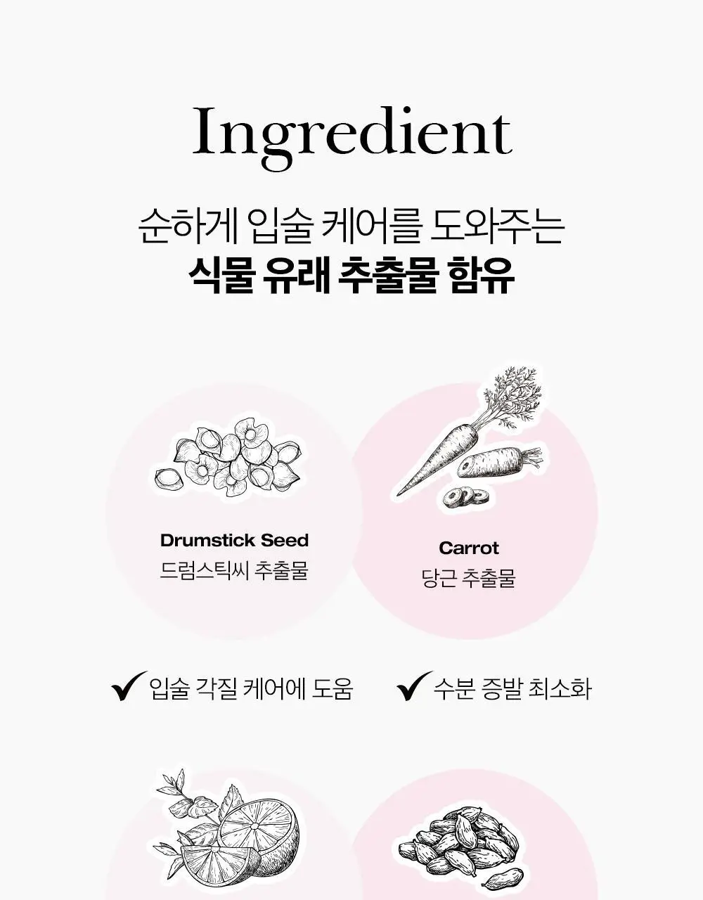 투크 리턴 투 베베 립밤 8g 상세페이지 42
