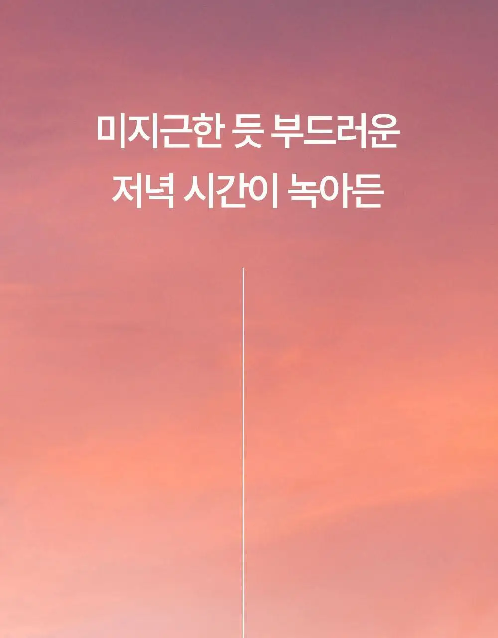 홀리카홀리카 멜팅 블러 립 팟 상세페이지 3