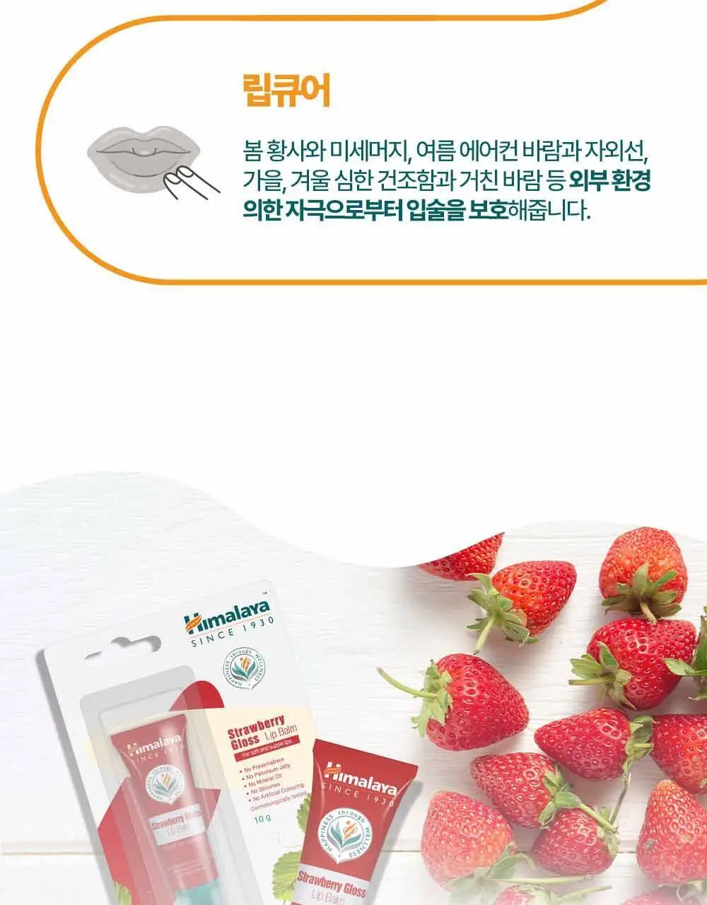 히말라야 스트로베리 글로스 립밤 10g 상세페이지 12
