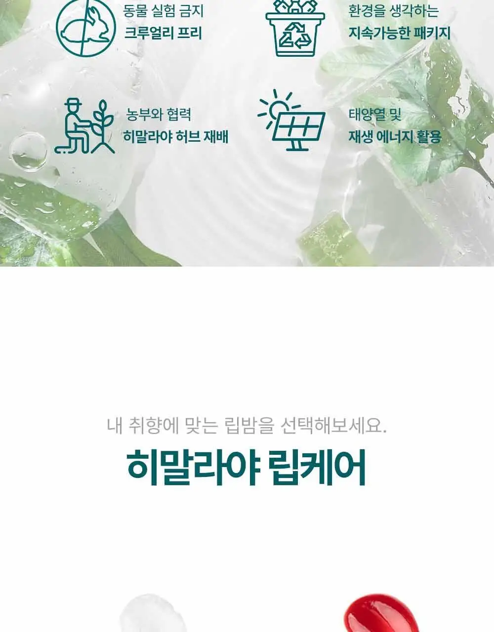 히말라야 울트라 모이스쳐라이징 코코아버터 립밤 10g 상세페이지 23