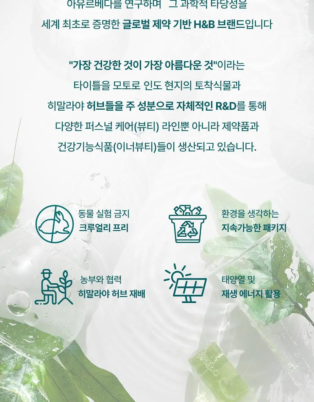 히말라야 허니 글로스 립밤 10g 상세페이지 23