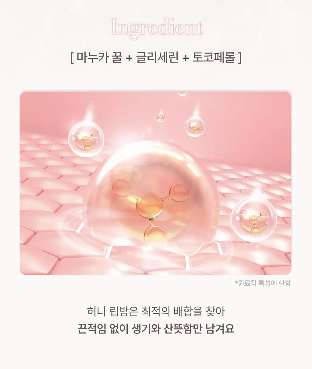 YNM 레인보우 허니 립밤 2입 기획 상세페이지 21