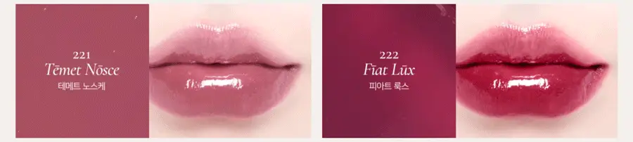 딘토 블러글로이립틴트 3.5G 211 베누스 (온) 상세페이지 22