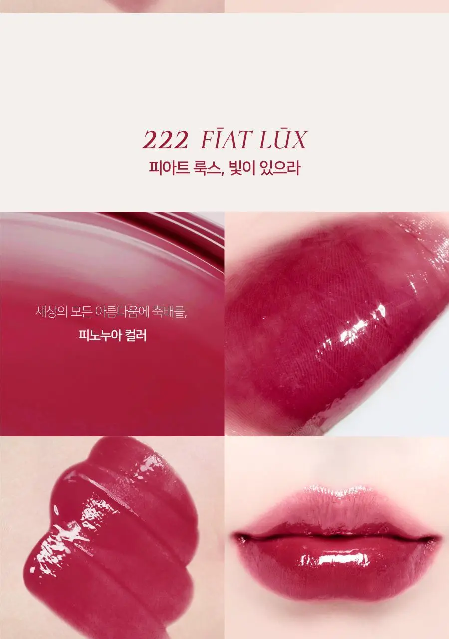 딘토 블러글로이립틴트 3.5G 211 베누스 (온) 상세페이지 63