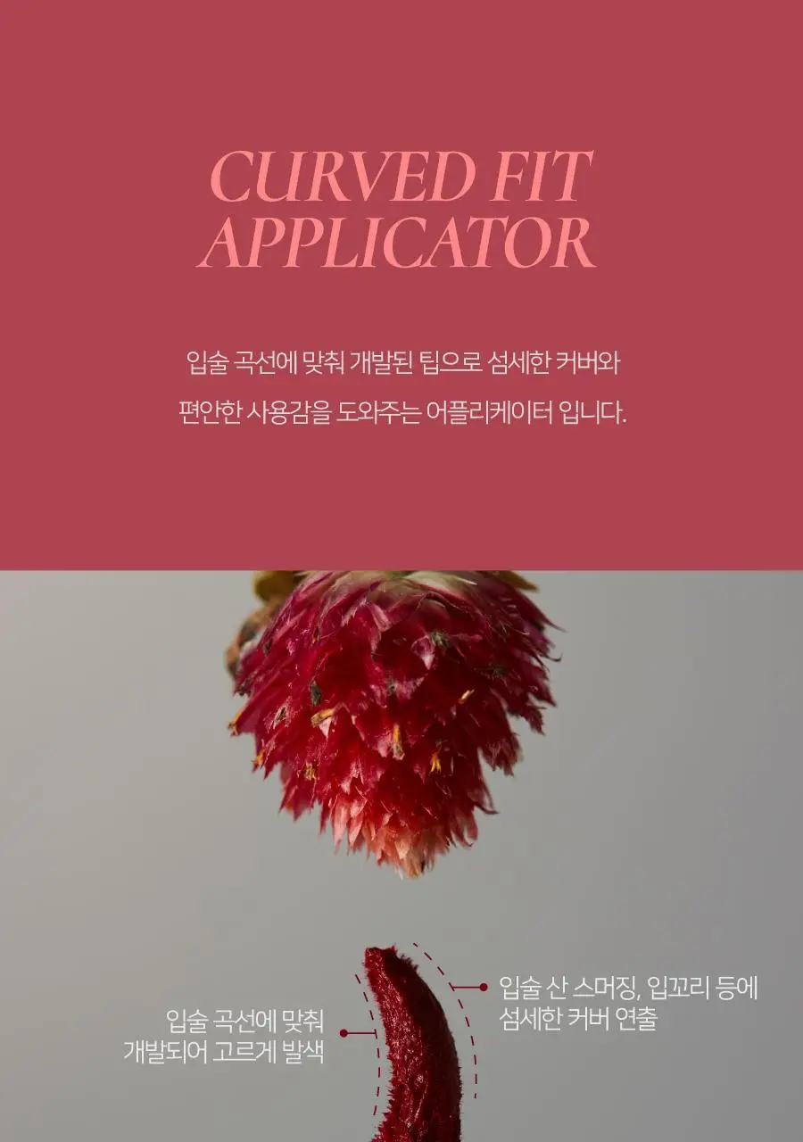 딘토 블러링 립베일 틴트 10종 상세페이지 37