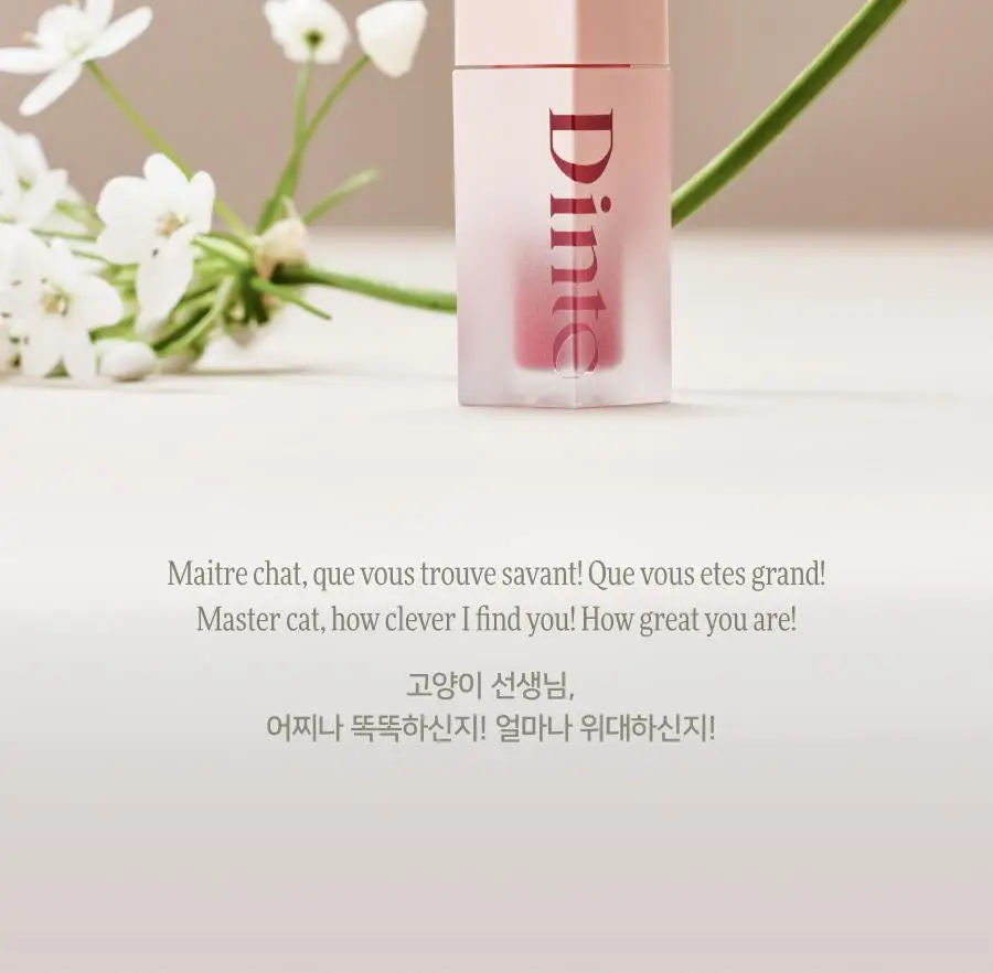 딘토 블러젤리 플럼핑 립틴트 7종 상세페이지 23