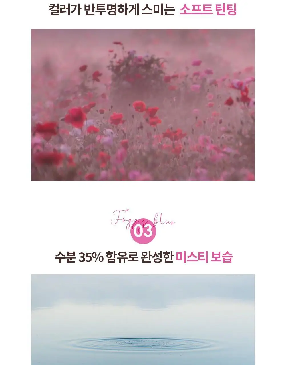 홀리카홀리카 포기블러 틴트 상세페이지 7