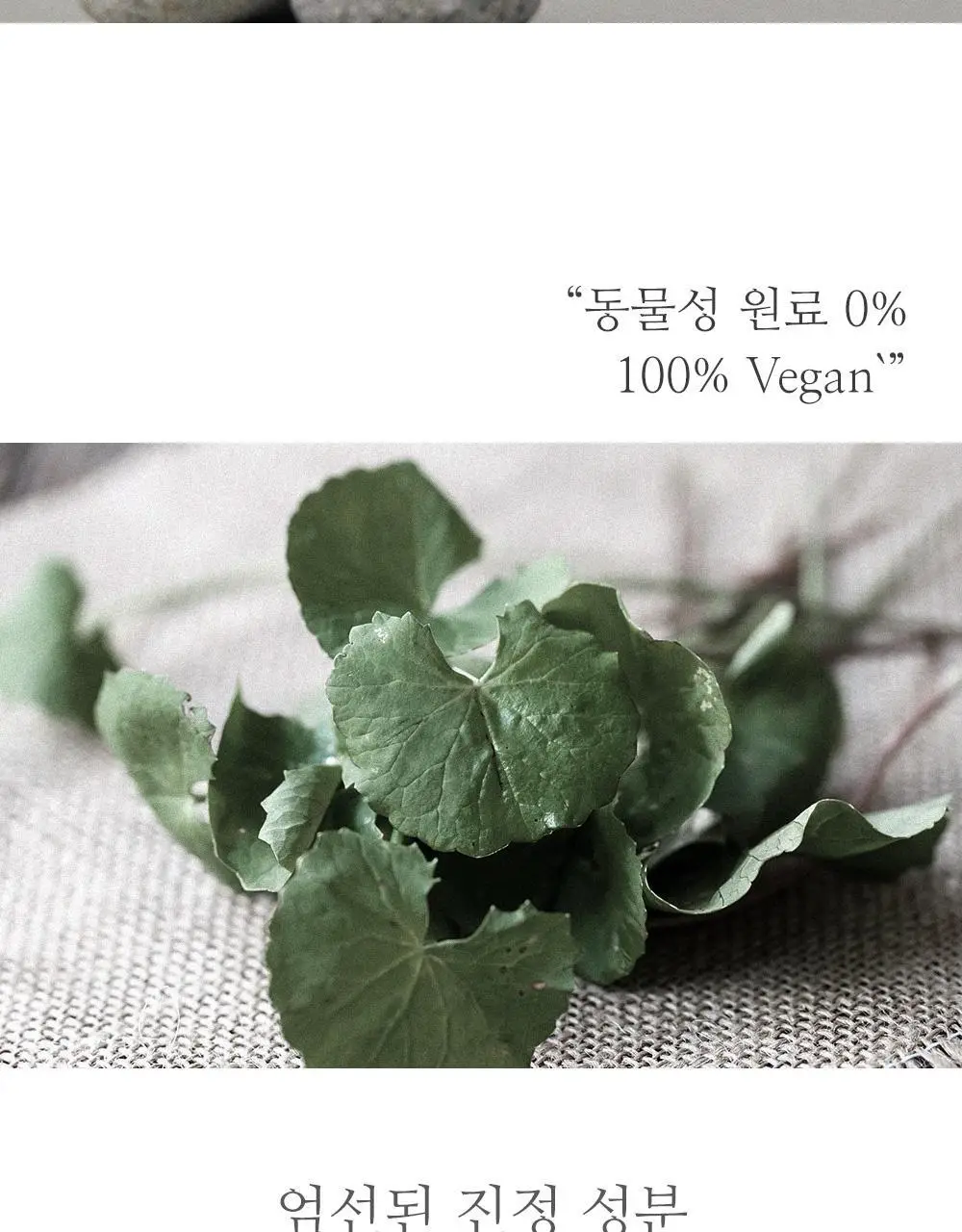 쏘내추럴 비건 메이크업 캄 픽서 100ml 상세페이지 2