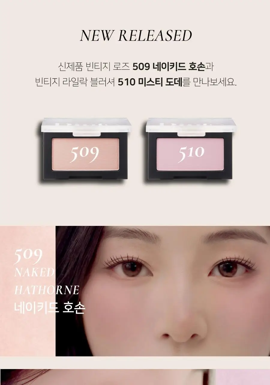 딘토 블러피니쉬 올댓모먼츠 블러셔 10종 상세페이지 6