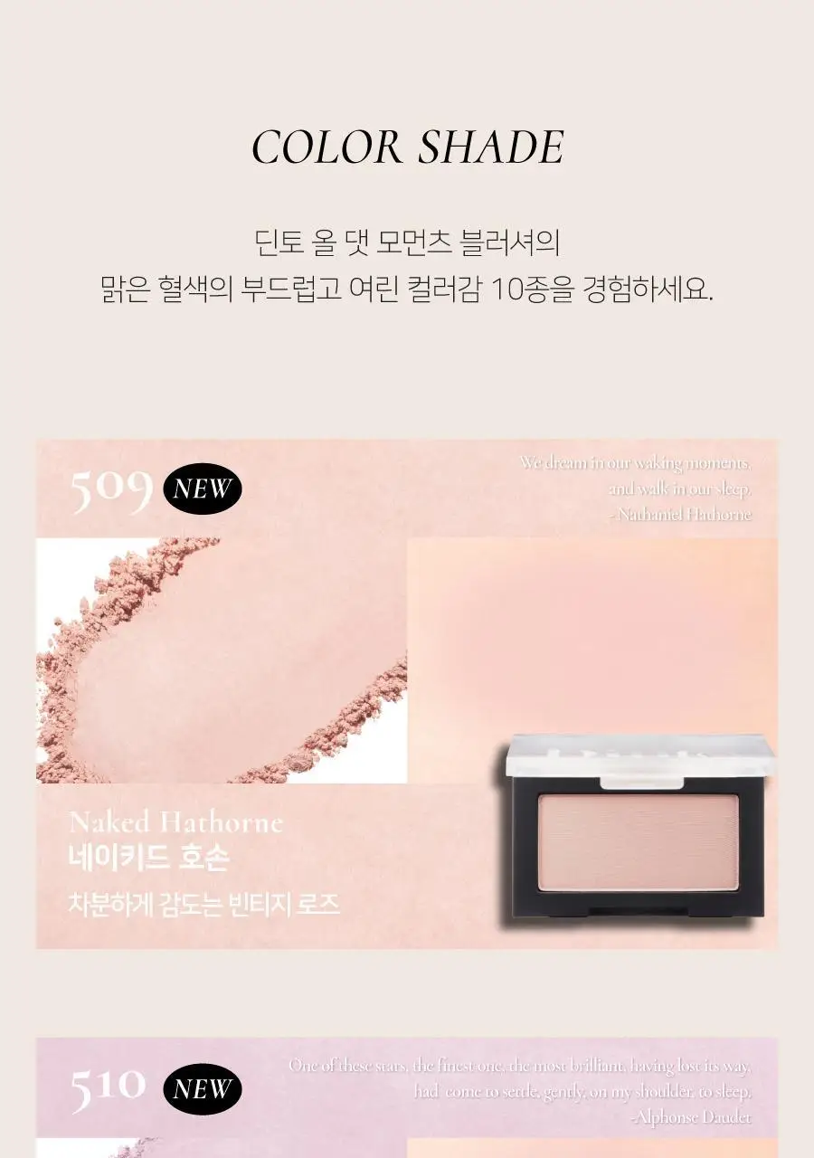 딘토 블러피니쉬 올댓모먼츠 블러셔 10종 상세페이지 11